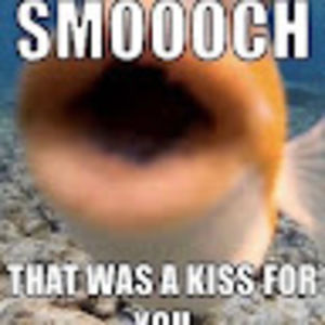 Meet your Posher, Isabella